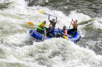 20260617-IMG_3941
