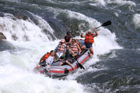 Grey Raft, Red Stripe (Swimmer)