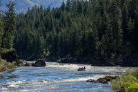 20260618-IMG_4921