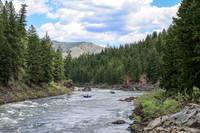 Raft 4