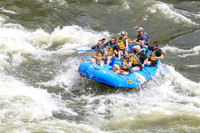 20260618-IMG_5889