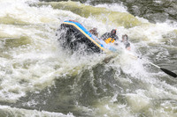20260618-IMG_6128