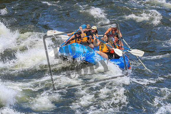 20260618-IMG_6221