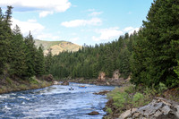 Raft 6