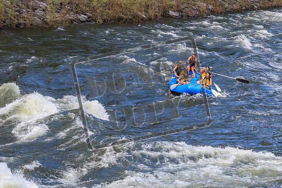 20260618-IMG_6216