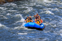 20260618-IMG_6211
