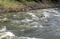 20260618-IMG_5290
