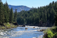 20260618-IMG_4957