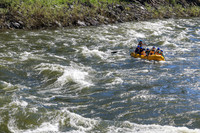 20260618-IMG_5077