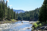 Raft 4