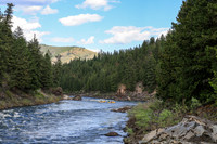 Raft 6