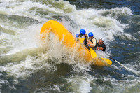 20260618-IMG_6166