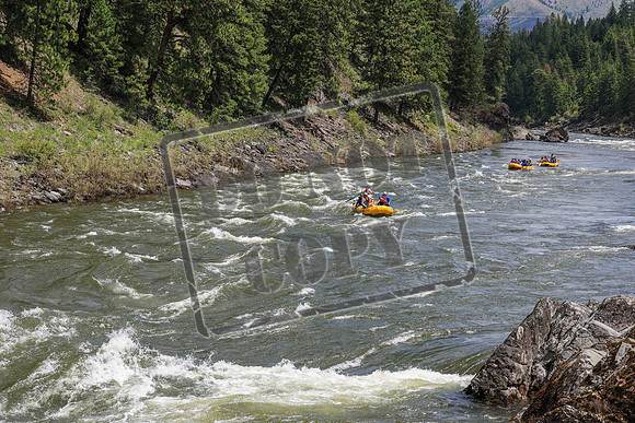 20260618-IMG_5570