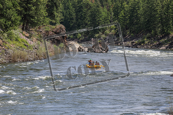 20260618-IMG_5713