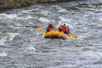 20260618-IMG_5784