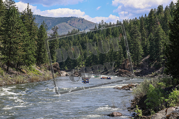 20260618-IMG_5331