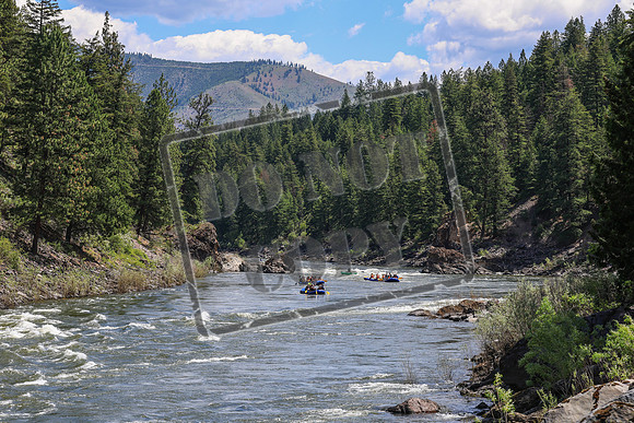 20260618-IMG_5330