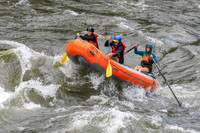 20260618-IMG_6063