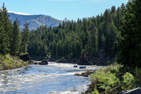 20260619-IMG_6307