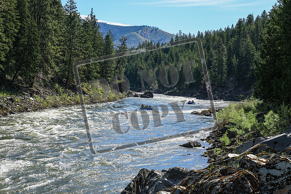 20260619-IMG_6312