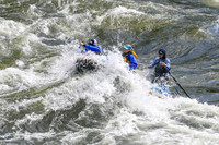 20260619-IMG_6618