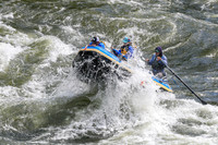 20260619-IMG_6619