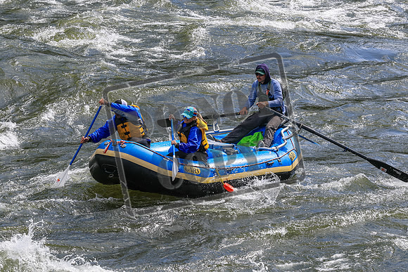 20260619-IMG_6614