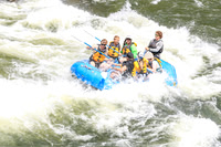 20260619-IMG_8055