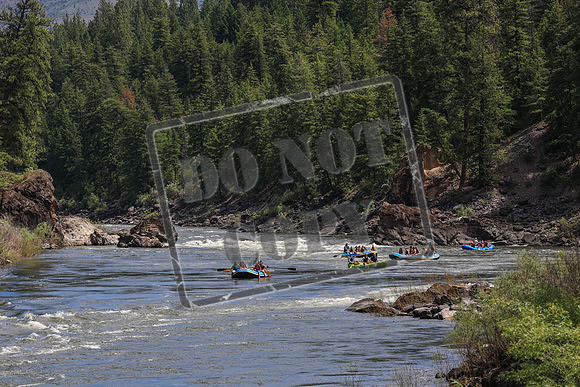 20260619-IMG_7209