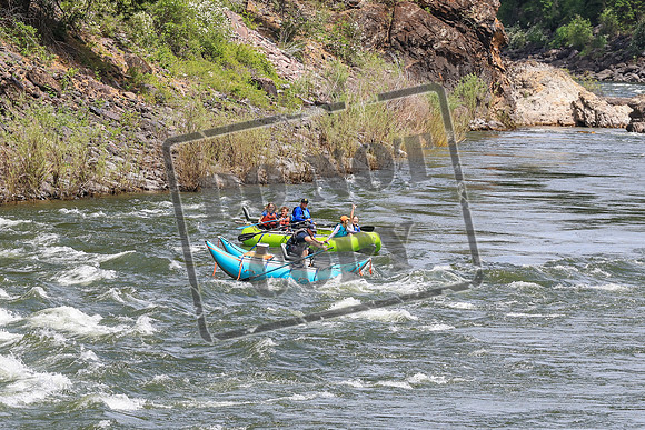 20260619-IMG_7990
