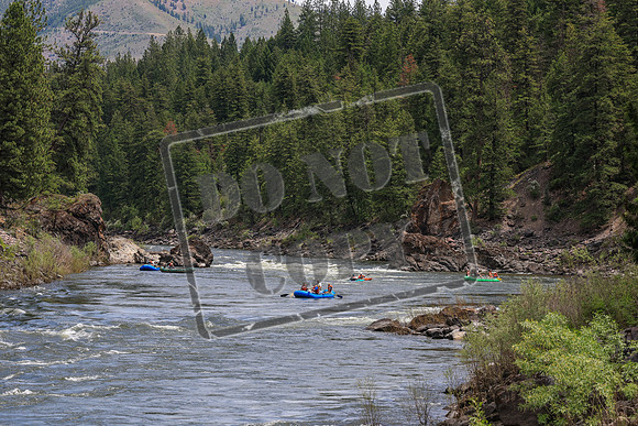 20260619-IMG_7565
