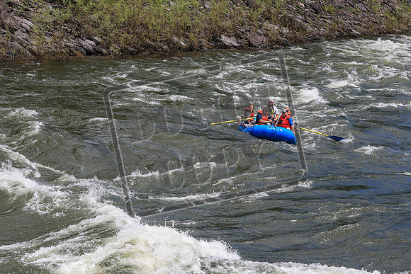 20260619-IMG_7573