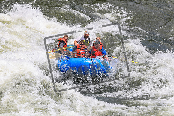 20260619-IMG_7584