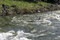 20260619-IMG_6396
