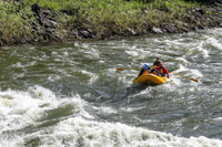 20260619-IMG_6419