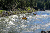 20260619-IMG_6415