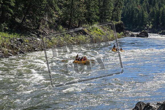 20260619-IMG_6415