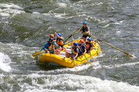 20260619-IMG_6993