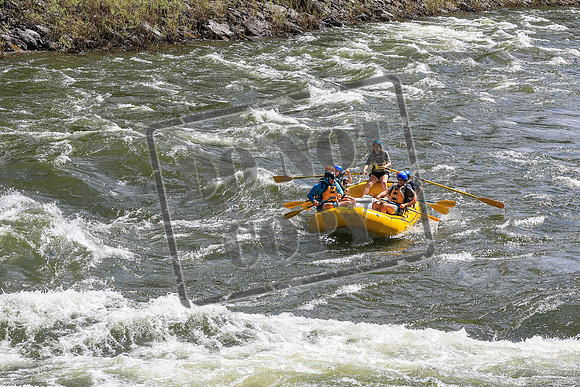 20260619-IMG_6992