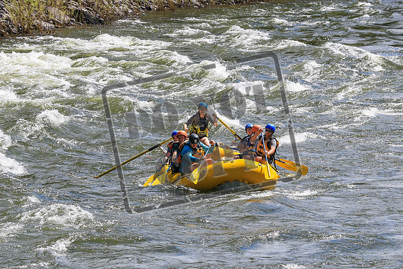20260619-IMG_6990