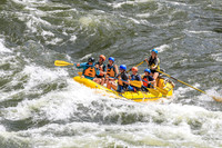 20260619-IMG_6995