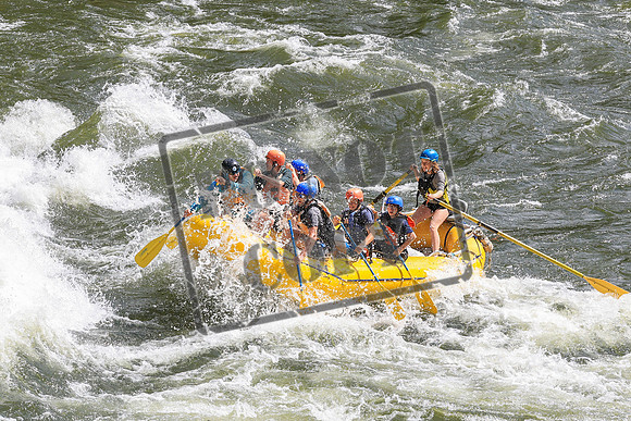 20260619-IMG_6997