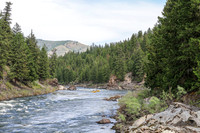 Raft 11