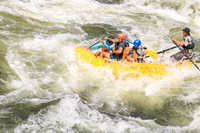 20260619-IMG_8175