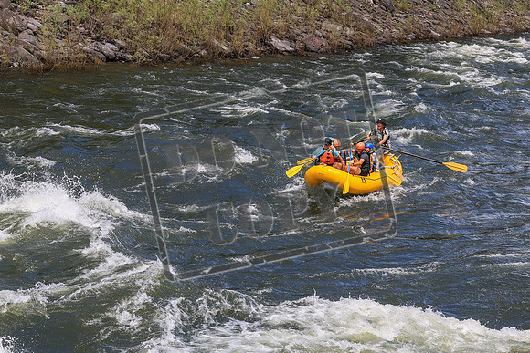 20260619-IMG_8163