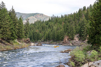 20260619-IMG_8155