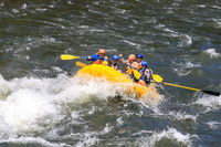20260619-IMG_8191
