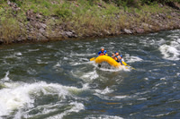 20260619-IMG_8186