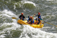 20260619-IMG_6446