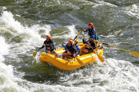 20260619-IMG_6449